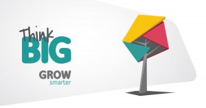 Think Big: Grow Smarter